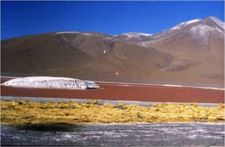 Trekking au CHILI, sud Lipez Trekking au CHILI, sud Lipez