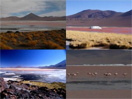 Trekking au CHILI, sud Lipez Trekking au CHILI, sud Lipez