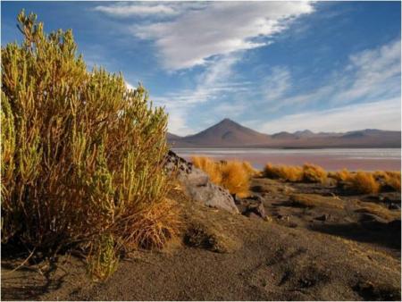 Trekking au CHILI, sud Lipez Trekking au CHILI, sud Lipez