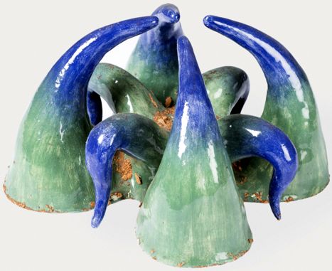 Octopus Octopus