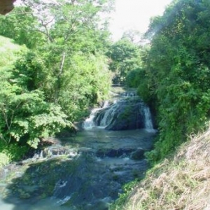 Finca Las Delicias