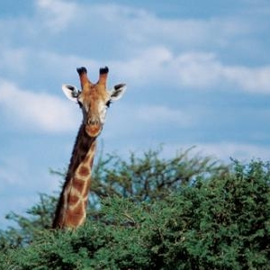 (c) Namibia Tourism Board