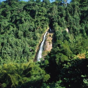 (c) Fiji Visitors Bureau