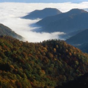 (c) City of Gatlinburg Dept. of Tourism