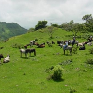 Finca Las Delicias