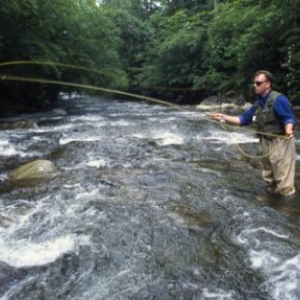 (c) City of Gatlinburg Dept. of Tourism