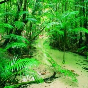 (c) Tourism Queensland - Photographer Peter Lik