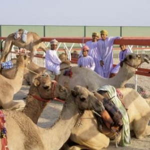 (c) Oman Tourism
