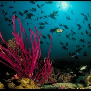 (c) Oman Tourism