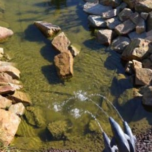 La Rivière