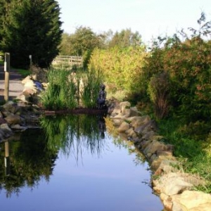 La riviere
