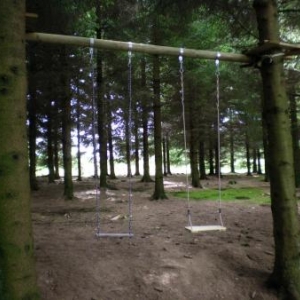 Jeux dans le bois