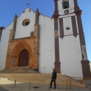 silves