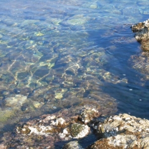 Naoussa