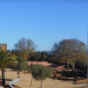 silves