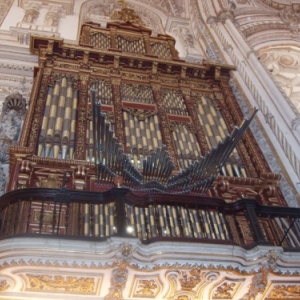 cordoba