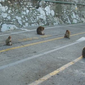 gibraltar