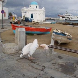 mykonos