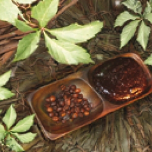 Massage au chocolat , Tentation D'Afrique