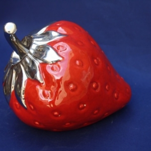 Fraise 27,95€