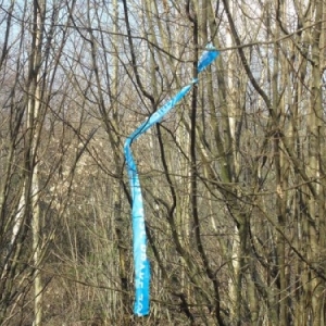 Sertomont Papillon bleu, specimen