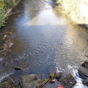 Du pont Lanham sort une ecume... 