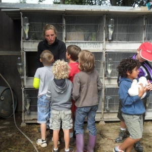 La ferme d’A Yaaz. Les petits animaux devenus familiers
