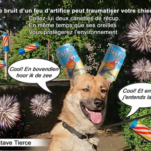 Veille du feu d'artifice.