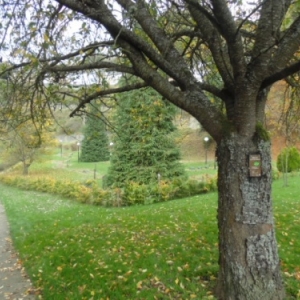 Le golf, a g. promenade le long de l'Ourthe.