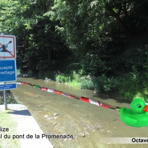 L'Ourthe en juillet 2018, en aval du pont de la Promenade, près du hall polyvalent. Montage humoristique. Comparez avec l'image numéro 1: le panneau "canettage interdit" est d'environ trois mètres en surplomb du niveau de la rivière 