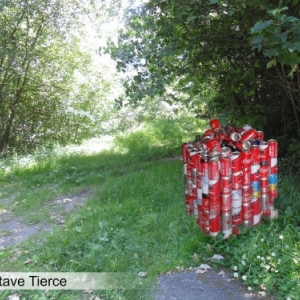 En-dessous de la Tranchee vers Pierreuse - juillet 2019