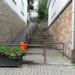Bas du grand Fosse - 2011