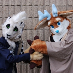 Fukumi Expo 2018