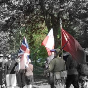 Drapeaux allies