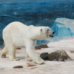 Le Monde Sauvage, Aywaille