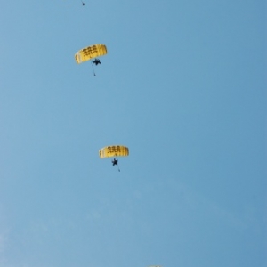 Parachutistes