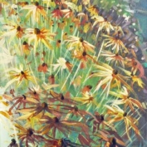 Allee de fleurs en jardin