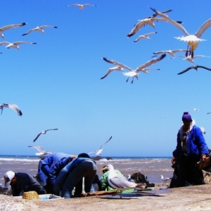 Essaouira