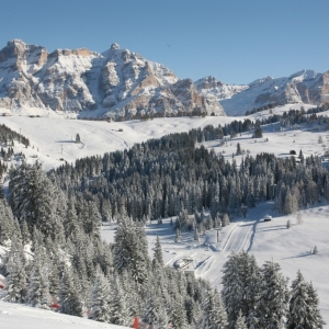  alta_badia_c_idm_sudtirol-alto_adige_freddy_planinschek