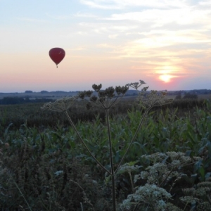 ballon 