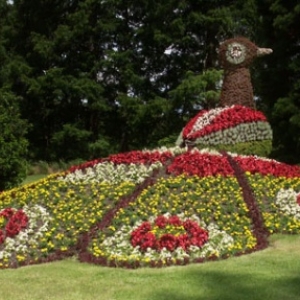 Ile de Mainau