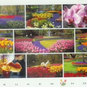 4. Le keukenhof