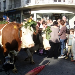 4. La Transhumance à Annecy