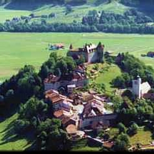 7. Guyere