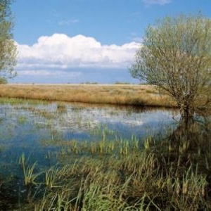 2. Le Parc de Brière