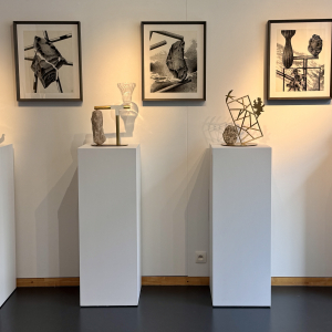 "Radical Landscapes" © Mario Trimarchi / "A. Galerie"