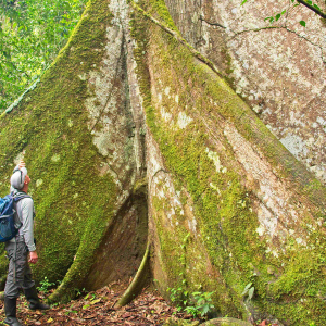 © Lynda Paquet & Martin Parent