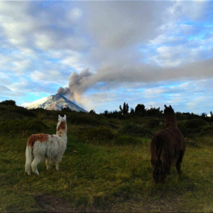 Eruption du Cotopaxi, en 2023