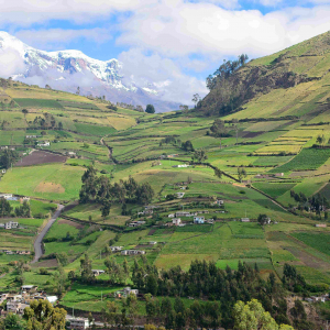 © Lynda Paquet & Martin Parent