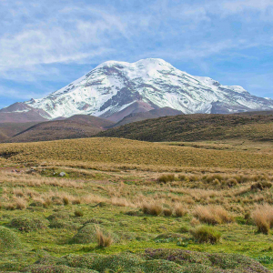 © Lynda Paquet & Martin Parent